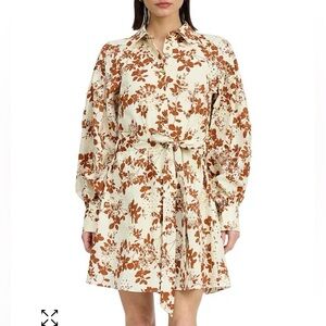 En Saison Emilia Eyelet Cotton Mini Shirt Dress Cream Brown Size XS NWOT
